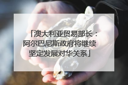 澳大利亚贸易部长：阿尔巴尼斯政府将继续坚定发展对华关系