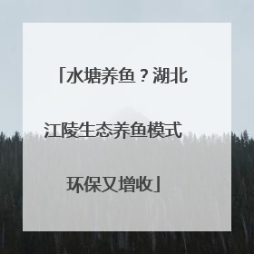 水塘养鱼？湖北江陵生态养鱼模式环保又增收