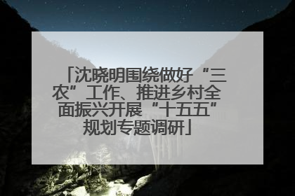 沈晓明围绕做好“三农”工作、推进乡村全面振兴开展“十五五”规划专题调研