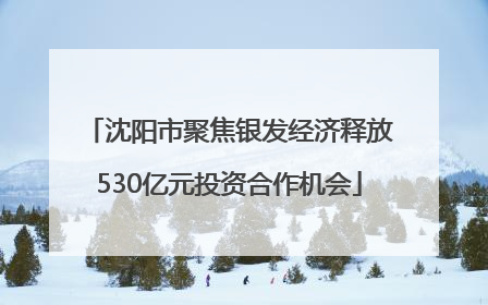 沈阳市聚焦银发经济释放530亿元投资合作机会