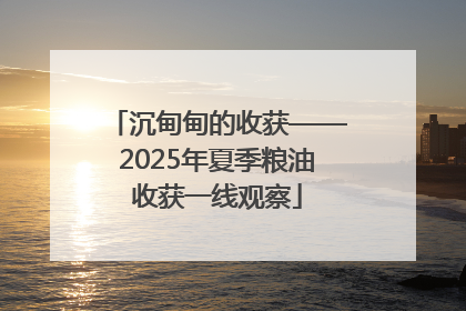 沉甸甸的收获——2025年夏季粮油收获一线观察