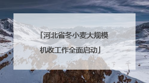 河北省冬小麦大规模机收工作全面启动