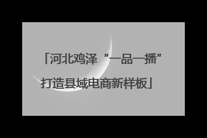 河北鸡泽“一品一播”打造县域电商新样板