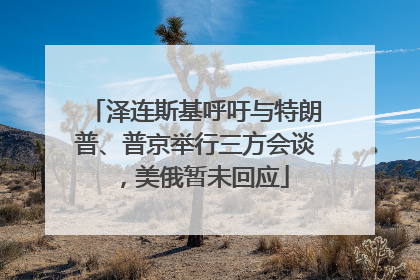 泽连斯基呼吁与特朗普、普京举行三方会谈，美俄暂未回应