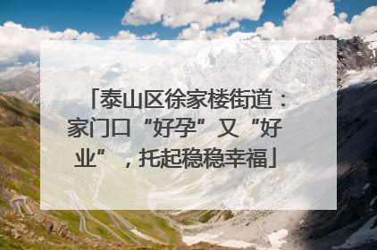 泰山区徐家楼街道：家门口“好孕”又“好业”，托起稳稳幸福