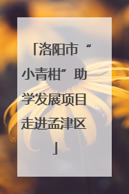 洛阳市“小青柑”助学发展项目走进孟津区