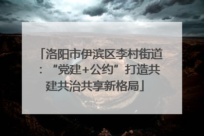 洛阳市伊滨区李村街道：“党建+公约”打造共建共治共享新格局