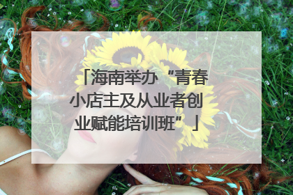 海南举办“青春小店主及从业者创业赋能培训班”
