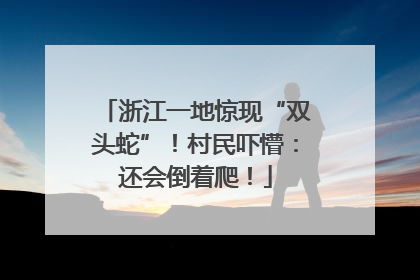 浙江一地惊现“双头蛇”！村民吓懵：还会倒着爬！