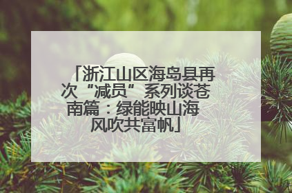 浙江山区海岛县再次“减员”系列谈苍南篇：绿能映山海 风吹共富帆