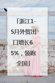 浙江1-5月外贸出口增长6.5%，领跑全国