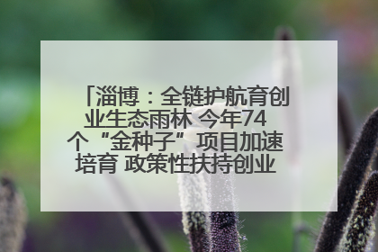 淄博：全链护航育创业生态雨林 今年74个“金种子”项目加速培育 政策性扶持创业9754人