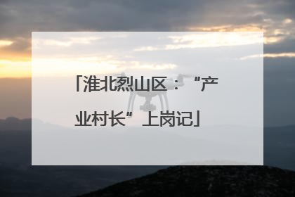 淮北烈山区：“产业村长”上岗记