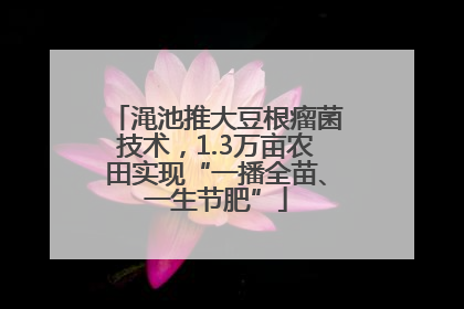 渑池推大豆根瘤菌技术，1.3万亩农田实现“一播全苗、一生节肥”
