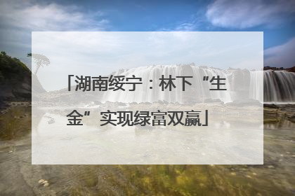 湖南绥宁：林下“生金”实现绿富双赢