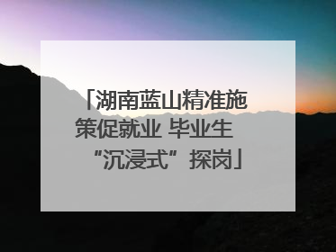 湖南蓝山精准施策促就业 毕业生“沉浸式”探岗