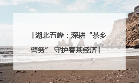 湖北五峰：深耕“茶乡警务” 守护春茶经济