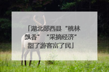 湖北郧西县“桃林飘香”“采摘经济”甜了游客富了民