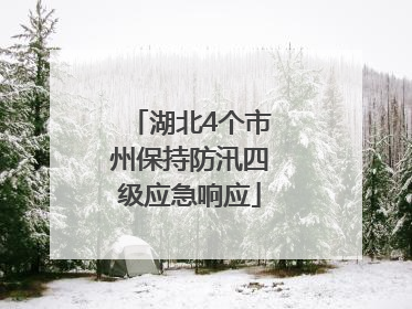 湖北4个市州保持防汛四级应急响应