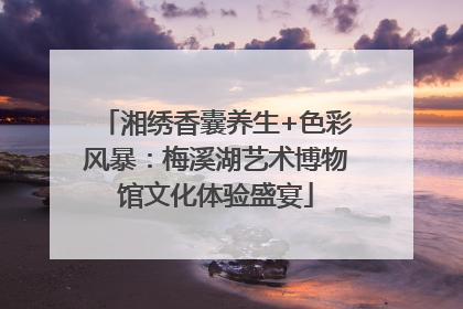 湘绣香囊养生+色彩风暴：梅溪湖艺术博物馆文化体验盛宴