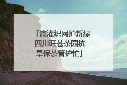 滴灌织网护新绿 四川旺苍茶园抗旱保茶管护忙