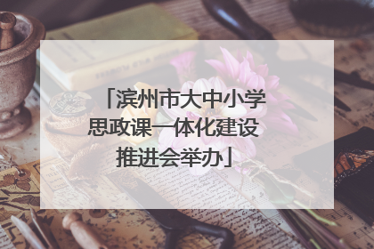 滨州市大中小学思政课一体化建设推进会举办