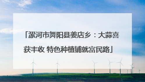 漯河市舞阳县姜店乡：大蒜喜获丰收 特色种植铺就富民路