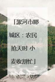漯河市郾城区：农民抢天时 小麦收割忙
