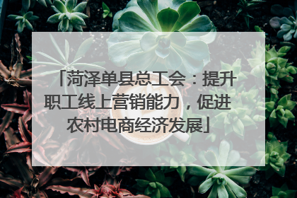 菏泽单县总工会：提升职工线上营销能力，促进农村电商经济发展