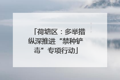 荷塘区：多举措纵深推进“禁种铲毒”专项行动