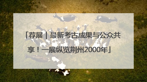 荐展｜最新考古成果与公众共享！一展纵览荆州2000年