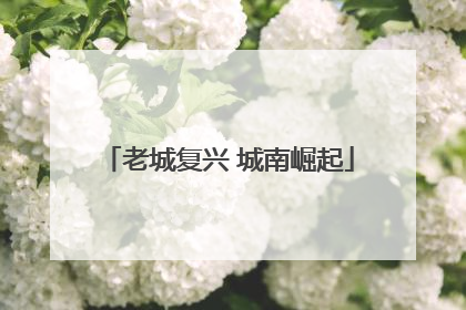 老城复兴 城南崛起