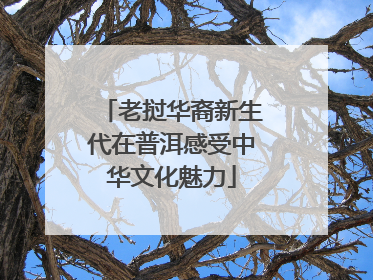 老挝华裔新生代在普洱感受中华文化魅力