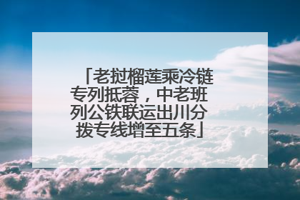 老挝榴莲乘冷链专列抵蓉，中老班列公铁联运出川分拨专线增至五条