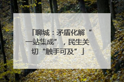 聊城：矛盾化解“一站集成”，民生关切“触手可及”