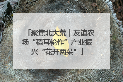 聚焦北大荒｜友谊农场“稻耳轮作”产业振兴“花开两朵”