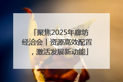 聚焦2025年廊坊经洽会丨资源高效配置，激活发展新动能