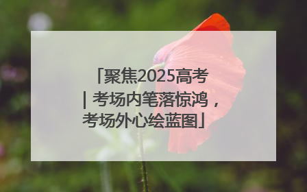 聚焦2025高考｜考场内笔落惊鸿，考场外心绘蓝图