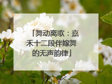舞动离歌：嘉禾十二段伴嫁舞的无声韵律