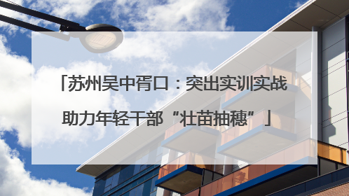 苏州吴中胥口：突出实训实战 助力年轻干部“壮苗抽穗”