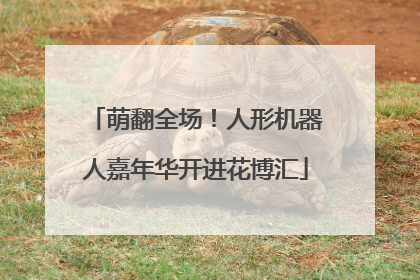 萌翻全场！人形机器人嘉年华开进花博汇