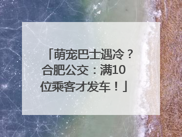 萌宠巴士遇冷？合肥公交：满10位乘客才发车！