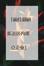 蔺佳调研新港区内重点企业