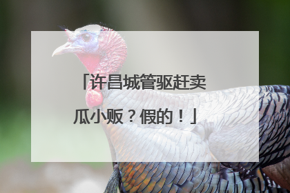 许昌城管驱赶卖瓜小贩？假的！