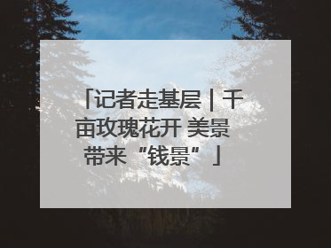 记者走基层｜千亩玫瑰花开 美景带来“钱景”