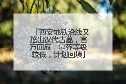 西安地铁沿线又挖出汉代古墓，官方回应：墓葬等级较低，计划回填