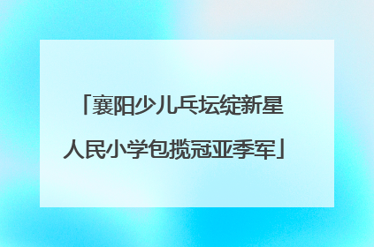 襄阳少儿乓坛绽新星 人民小学包揽冠亚季军