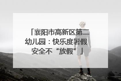 襄阳市高新区第二幼儿园：快乐度暑假 安全不“放假”