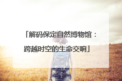 解码保定自然博物馆：跨越时空的生命交响