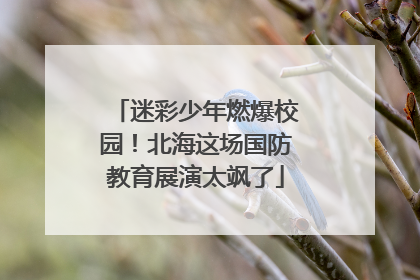 迷彩少年燃爆校园！北海这场国防教育展演太飒了
